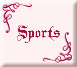 Dog Sports Helmets
